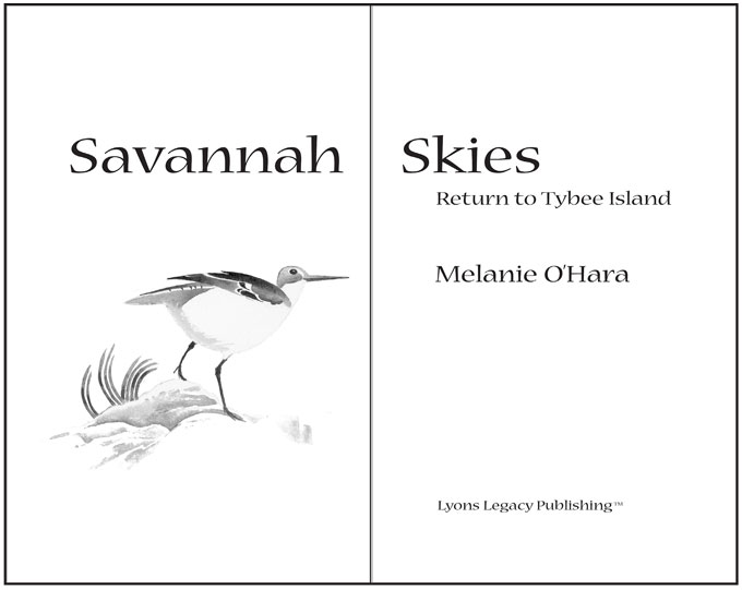Savannah Skies title page
