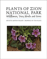 Cover of The Plants of Zion by Ruth Nelson.
